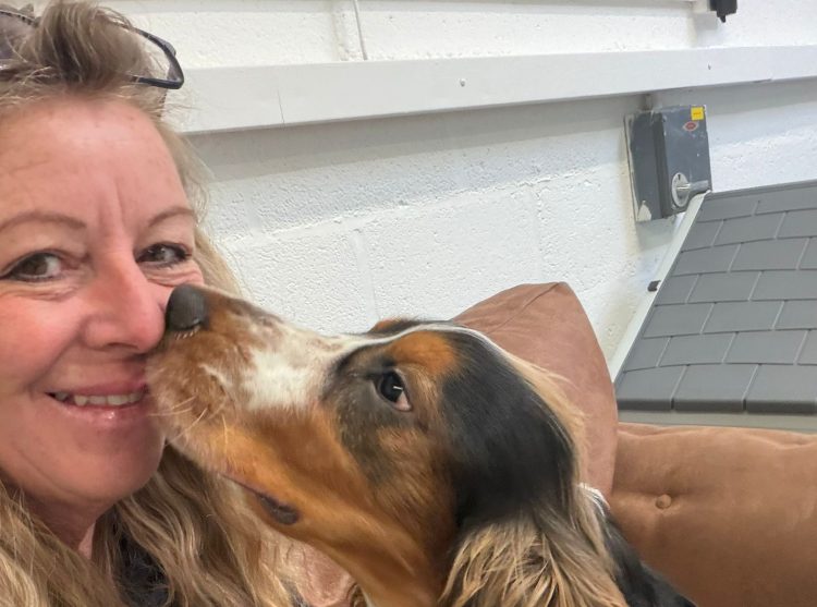 NEW DOGGY DAY CARE CENTRE OPENS IN VENTNOR WITH A FOCUS ON WELFARE AND CALM CARE