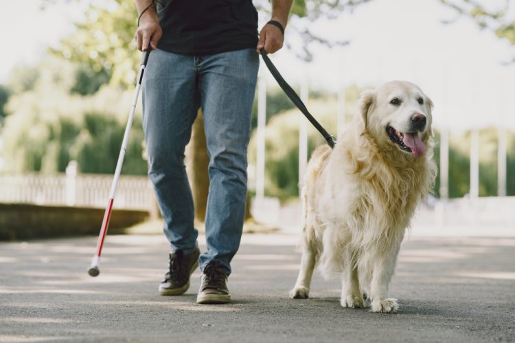 LIABILITY RISKS WHEN SERVICE ANIMALS JOIN ATHLETIC EVENTS