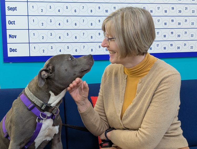 NEW CHAIR APPOINTED TO SUPPORT RSPCA ISLE OF WIGHT’S FUTURE DIRECTION