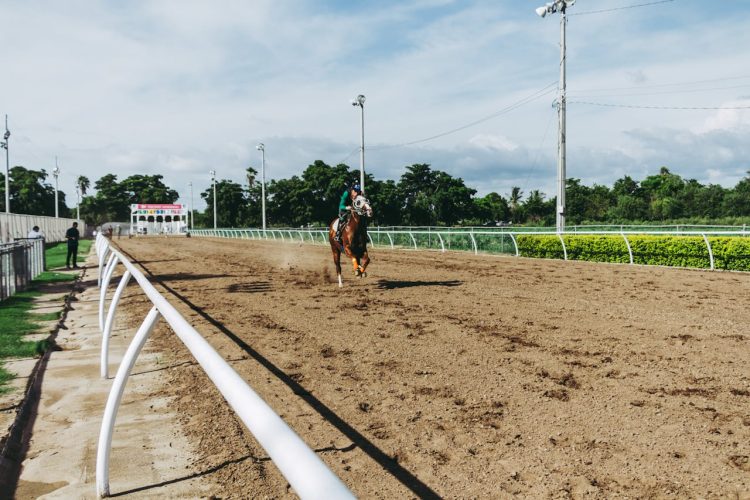 ASHEY SCURRY TO RETURN AFTER BEING POSTPONED
