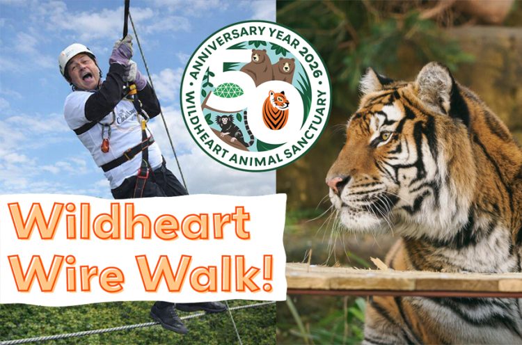 WILDHEART ANIMAL SANCTUARY SEEKS FEARLESS FUNDRAISERS FOR HIGHWIRE CHALLENGE