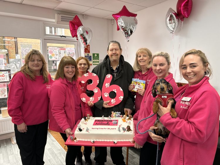 FRIENDS OF THE ANIMALS MARKS 36 YEARS OF RESCUE WORK ON THE ISLE OF WIGHT