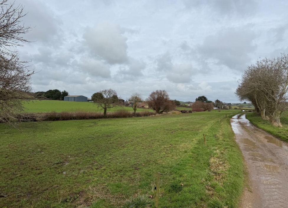 ‘MUCH-NEEDED’ DOG WALKING FACILITY PROPOSED ON FARM LAND NEAR ROOKLEY