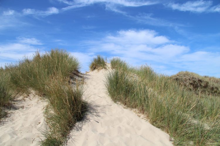 SUMMER SIDE HUSTLES ON THE ISLE OF WIGHT