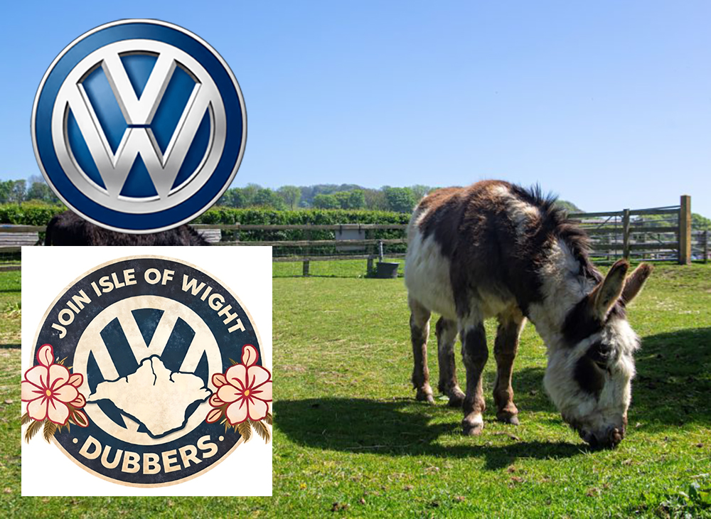 VW CONVOY TO CROSS THE ISLE OF WIGHT IN AID OF DONKEY SANCTUARY