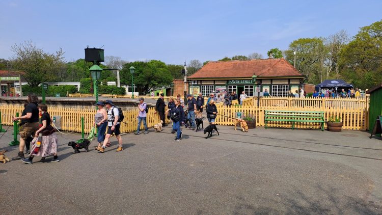 PAWSOME DAY OUT RETURNING AS RSPCA DOG WALK STEAMS BACK TO HAVENSTREET