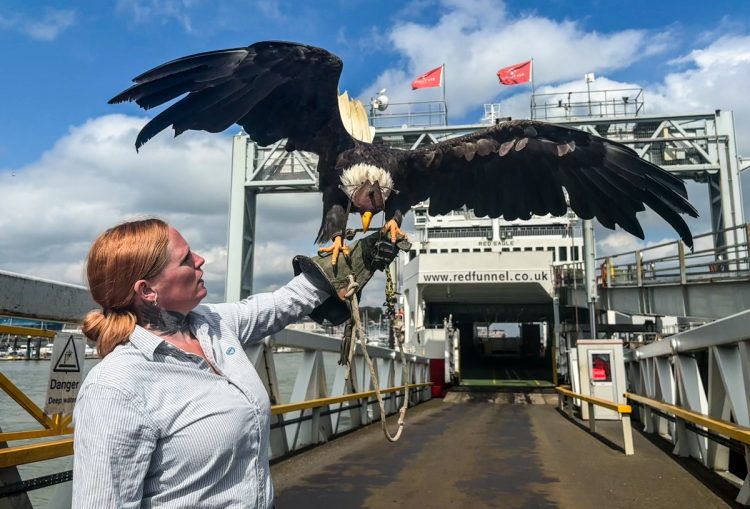 BALD EAGLE BOARDS RED EAGLE AS FERRY MARKS 30TH BIRTHDAY