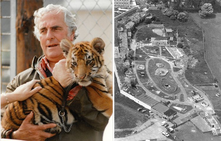 WILDHEART ANIMAL SANCTUARY MARKS 50 YEARS – ISLANDERS INVITED TO SHARE MEMORIES