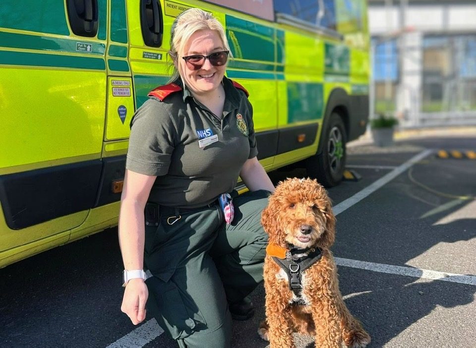 RESCUE DOG SUPPORTING ISLE OF WIGHT AMBULANCE CREWS AFTER LIFE-SAVING SURGERY
