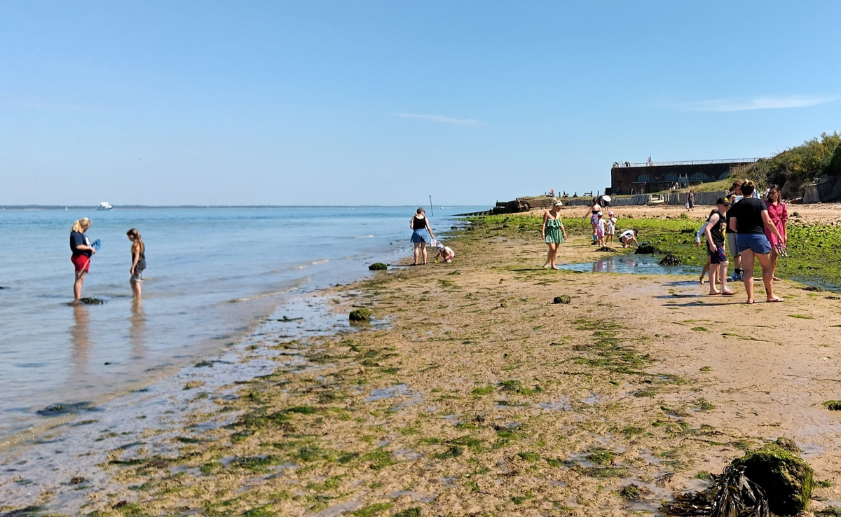 HALF-TERM BEACH ADVENTURES RETURN TO FORT VIC WITH ROCK POOLING AND FOSSIL HUNTS
