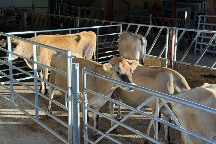 WARREN FARM TO OPEN ITS GATES FOR FAMILY FARM DAY THIS WEEKEND