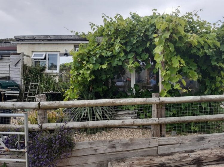 FEARS OVER FUTURE USE LEAD TO REFUSAL OF BLACKGANG FARM CONVERSION