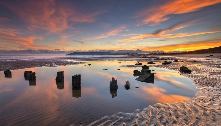 SUMMER DOG BEACH BAN RETURNS – BUT THESE 14 ISLE OF WIGHT SPOTS STAY OPEN ALL YEAR