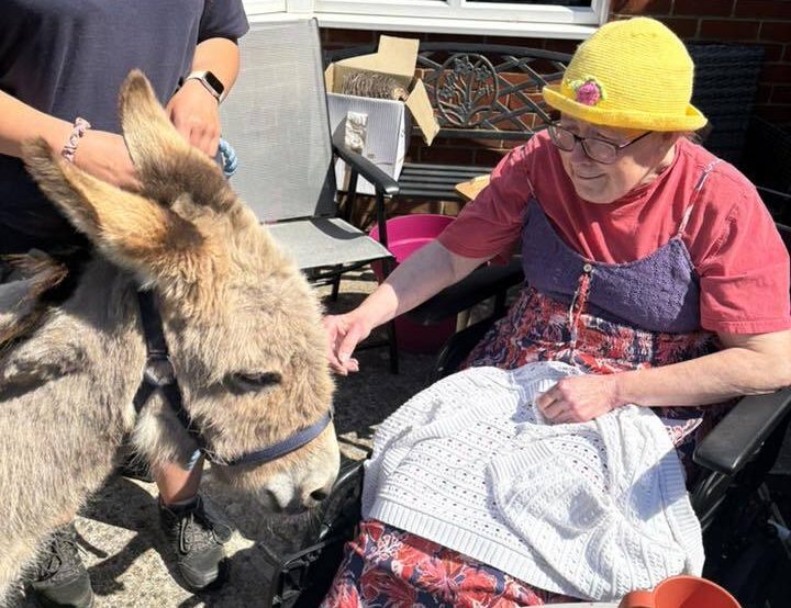 DONKEYS DELIGHT RESIDENTS DURING SPECIAL WORLD DONKEY DAY VISIT TO INGLEFIELD