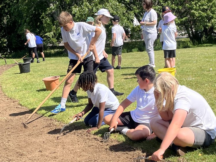 WEST WIGHT PUPILS HELP CREATE NEW WILDFLOWER MEADOW TO BOOST BIODIVERSITY
