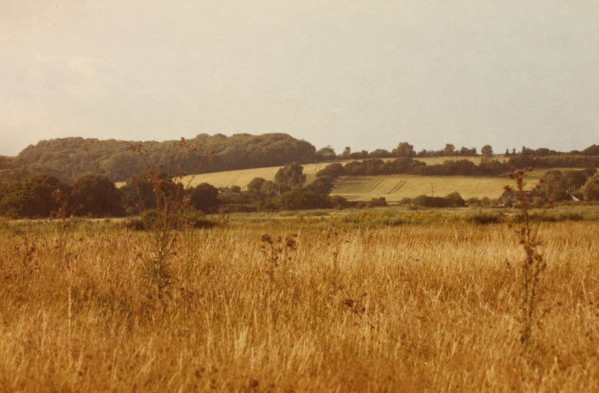 50 YEARS AGO THE GREAT DROUGHT OF 1976 GRIPPED THE ISLE OF WIGHT