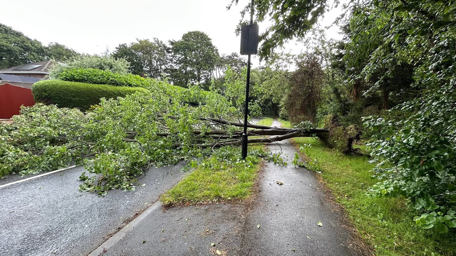 ROAD TO NETTLESTONE BLOCKED AS TREE CRASHES DOWN IN STORMY WEATHER