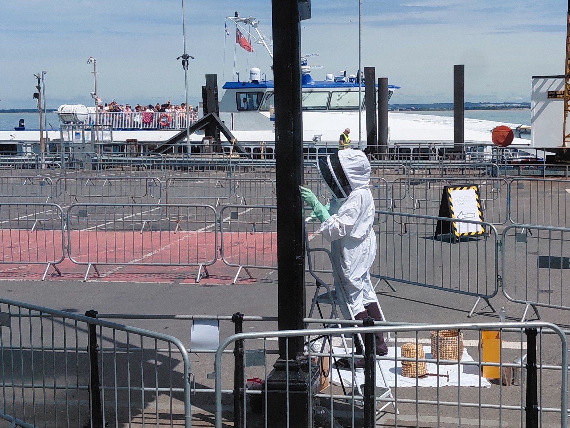 BEE SWARM CREATES FESITVAL BUZZ AT RYDE PIER HEAD