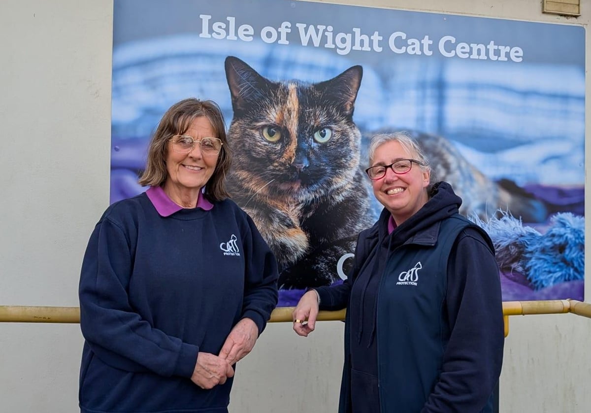 CAT CENTRE CELEBRATING 65 YEARS HELPING ISLE OF WIGHT CATS
