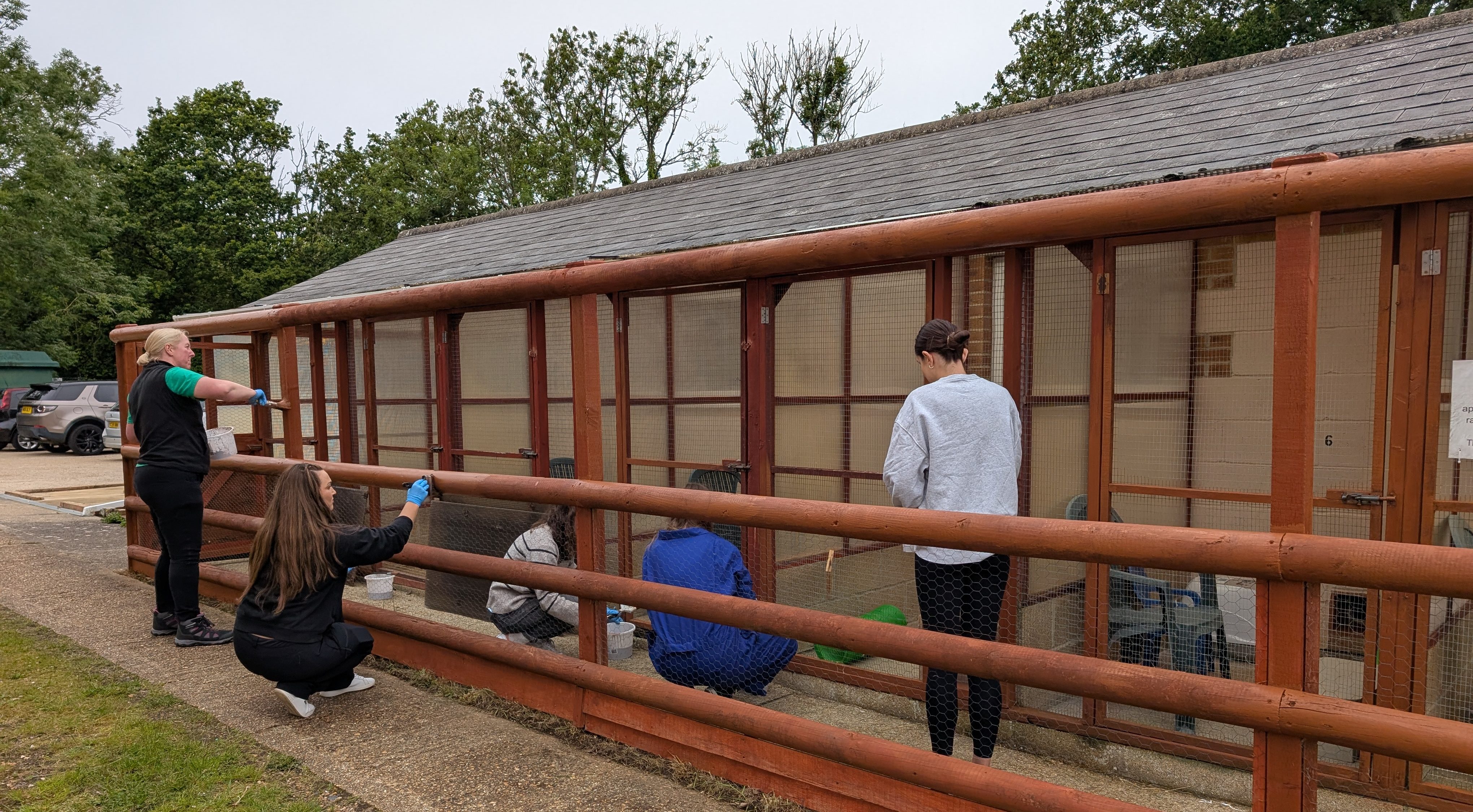 RSPCA HOST FIRST CORPORATE DAY WITH HELP FROM LOCAL BUSINESSES