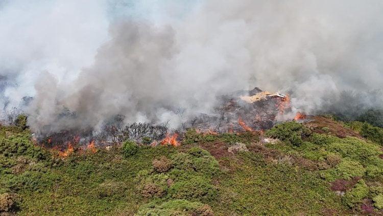 MAJOR HEATHLAND FIRE RAGES AT WEST WIGHT’S HEADON WARREN