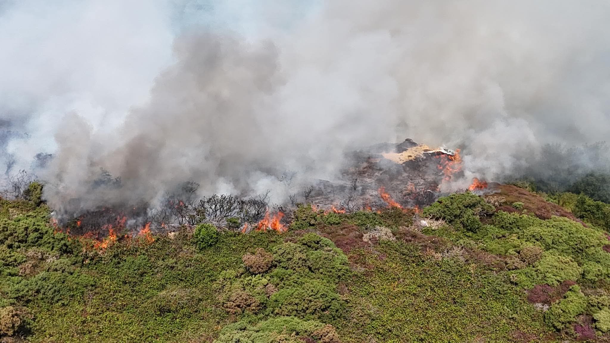 MAJOR HEATHLAND FIRE RAGES AT WEST WIGHT’S HEADON WARREN