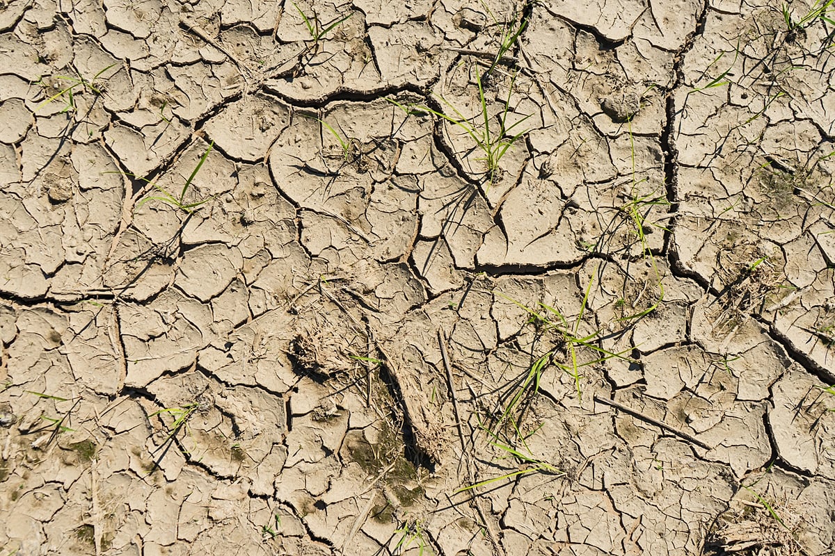 ISLE OF WIGHT OFFICIALLY DECLARED IN DROUGHT AS EXTREMELY DRY SPELL CONTINUES