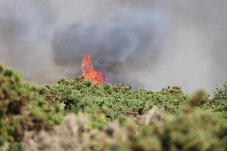60 ACRES DESTROYED – HEADON WARREN BLAZE CONTINUES INTO SECOND DAY