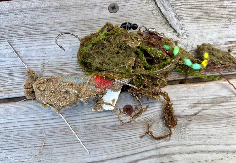BEACH SAFETY WARNING AFTER DOG’S TONGUE PIERCED BY FISHING HOOK