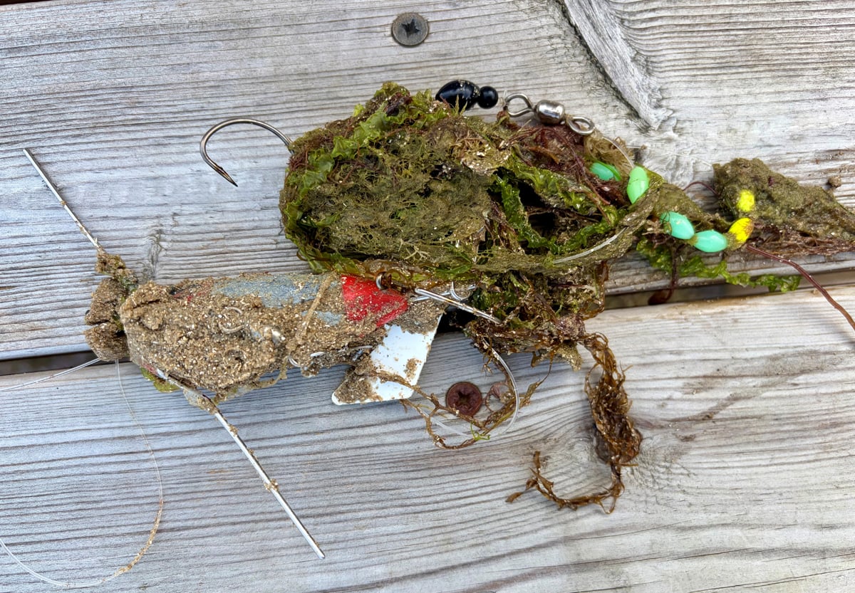 BEACH SAFETY WARNING AFTER DOG’S TONGUE PIERCED BY FISHING HOOK