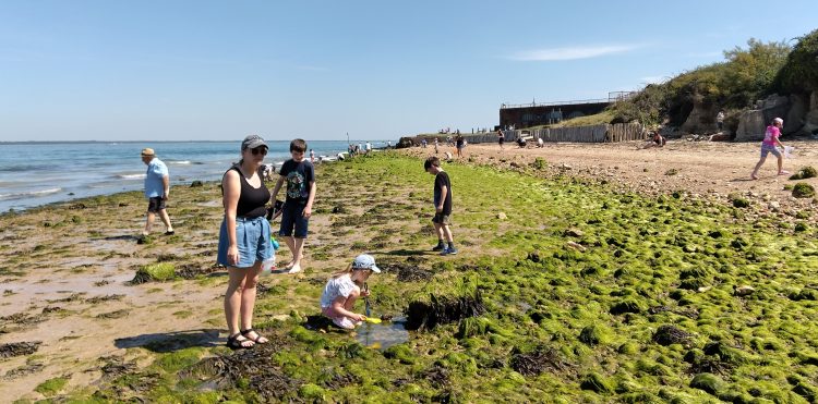 ROCK POOLING AND FOSSIL HUNTING ADVENTURES RETURN TO FORT VICTORIA THIS SUMMER