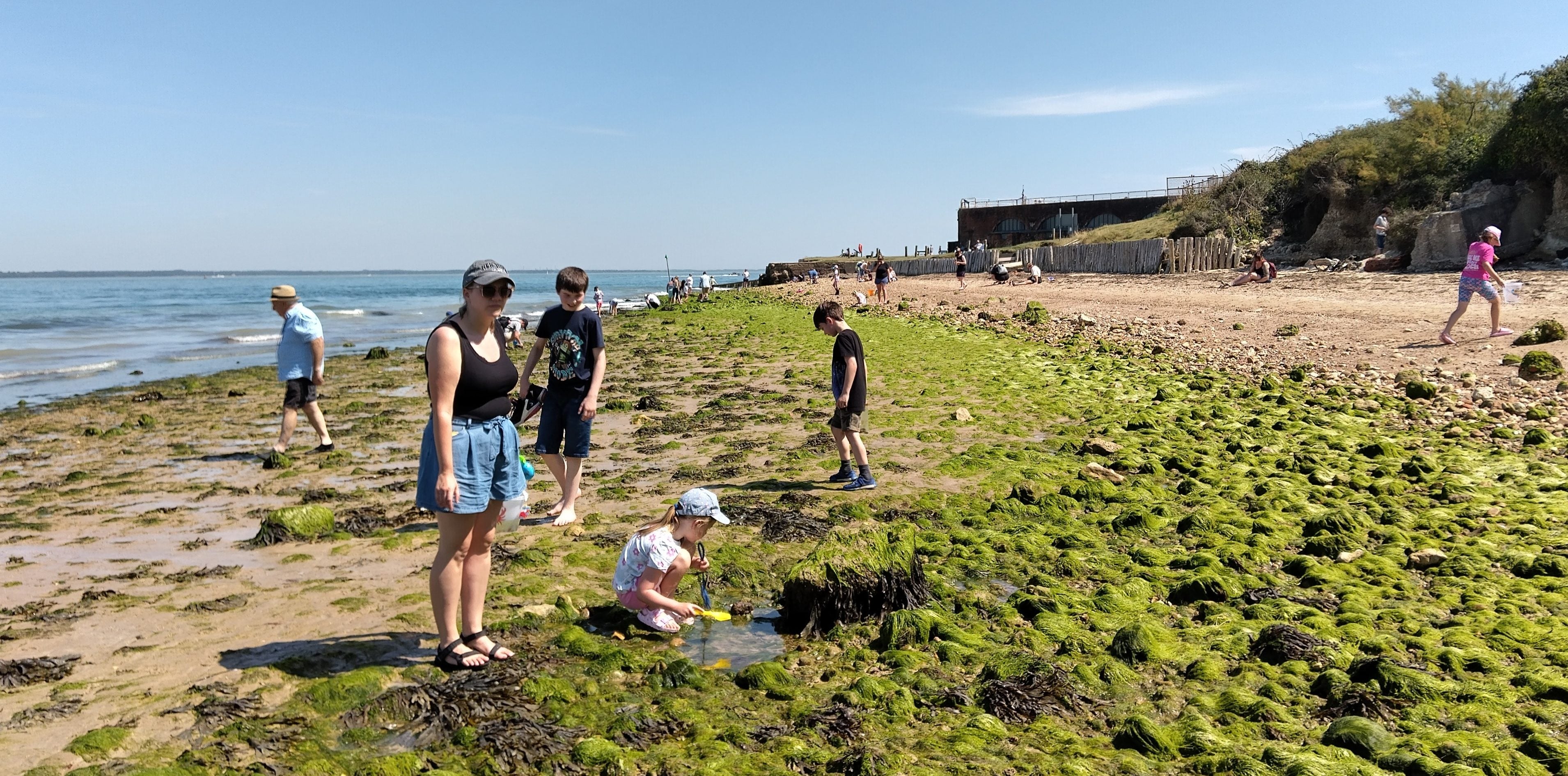 ROCK POOLING AND FOSSIL HUNTING ADVENTURES RETURN TO FORT VICTORIA THIS SUMMER