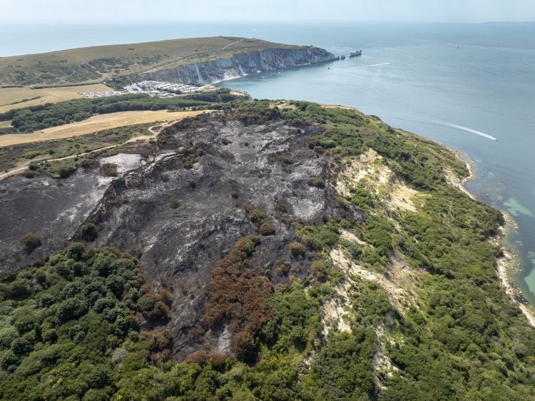 ‘WE ALL HAVE A PART TO PLAY’ – PLEA TO PROTECT THE ISLE OF WIGHT’S PRECIOUS LANDSCAPES