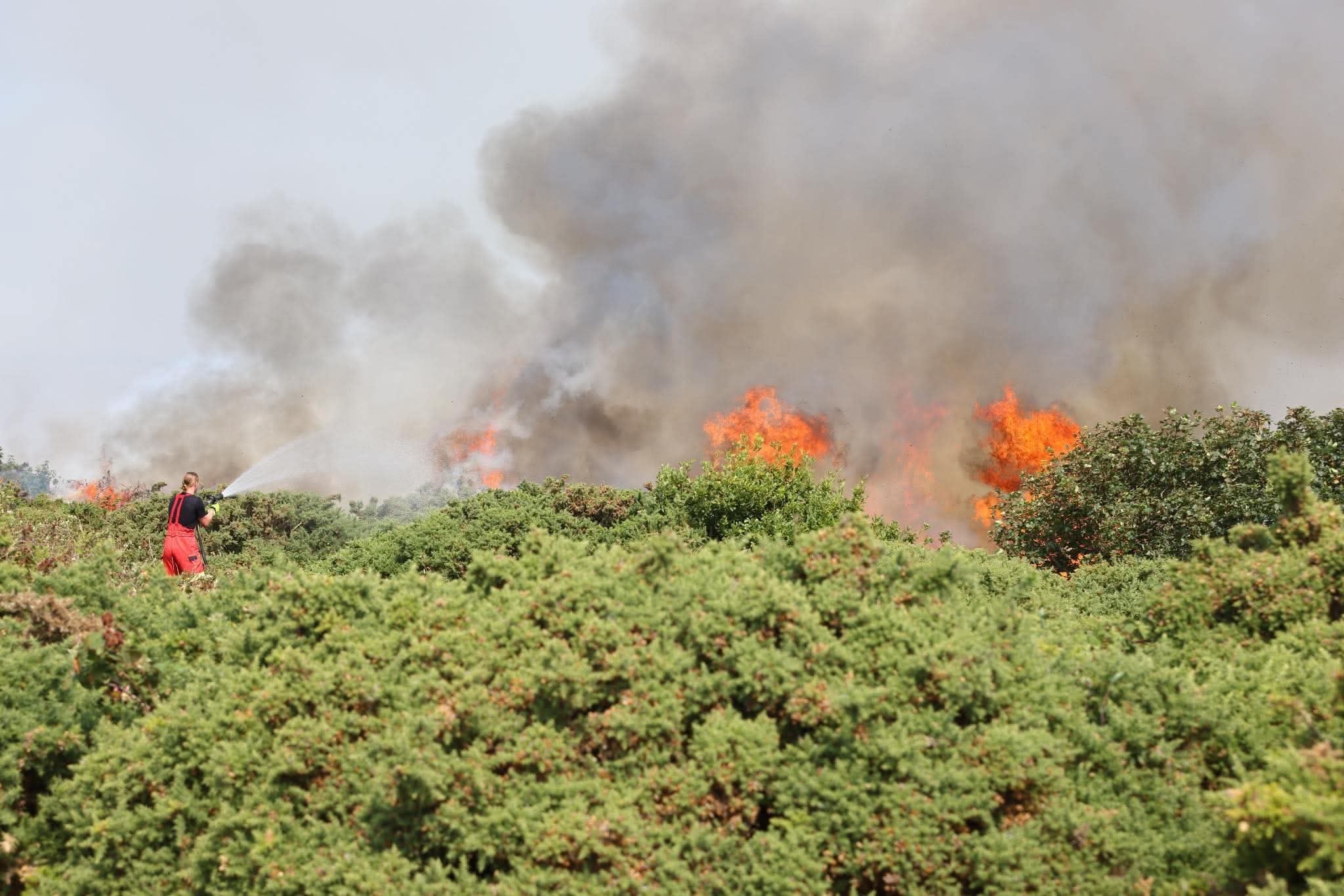 EFFORTS TO CONTINUE INTO THE NIGHT AS FIREFIGHTERS BATTLE HEADON INFERNO