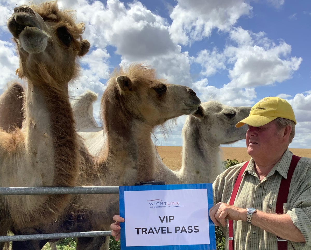 CAMELS TO CROSS THE SOLENT FOR ROYAL ISLE OF WIGHT COUNTY SHOW