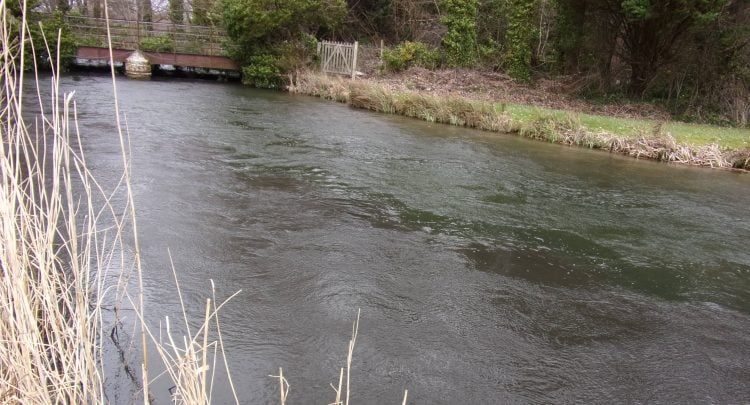 SOUTHERN WATER ADMITS POLLUTING RIVER TEST AFTER WASTEWATER TREATMENT FAILURES