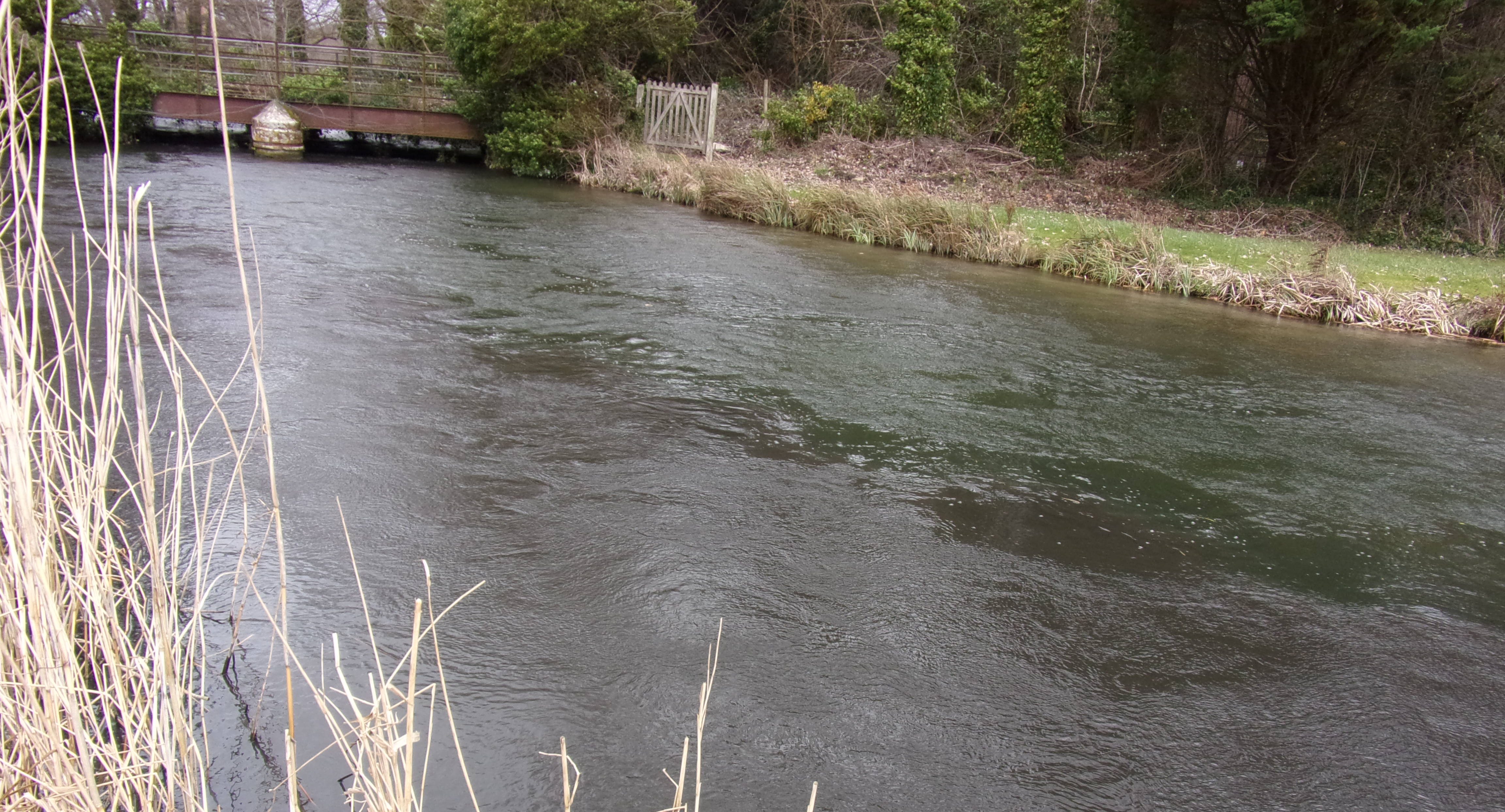 SOUTHERN WATER ADMITS POLLUTING RIVER TEST AFTER WASTEWATER TREATMENT FAILURES