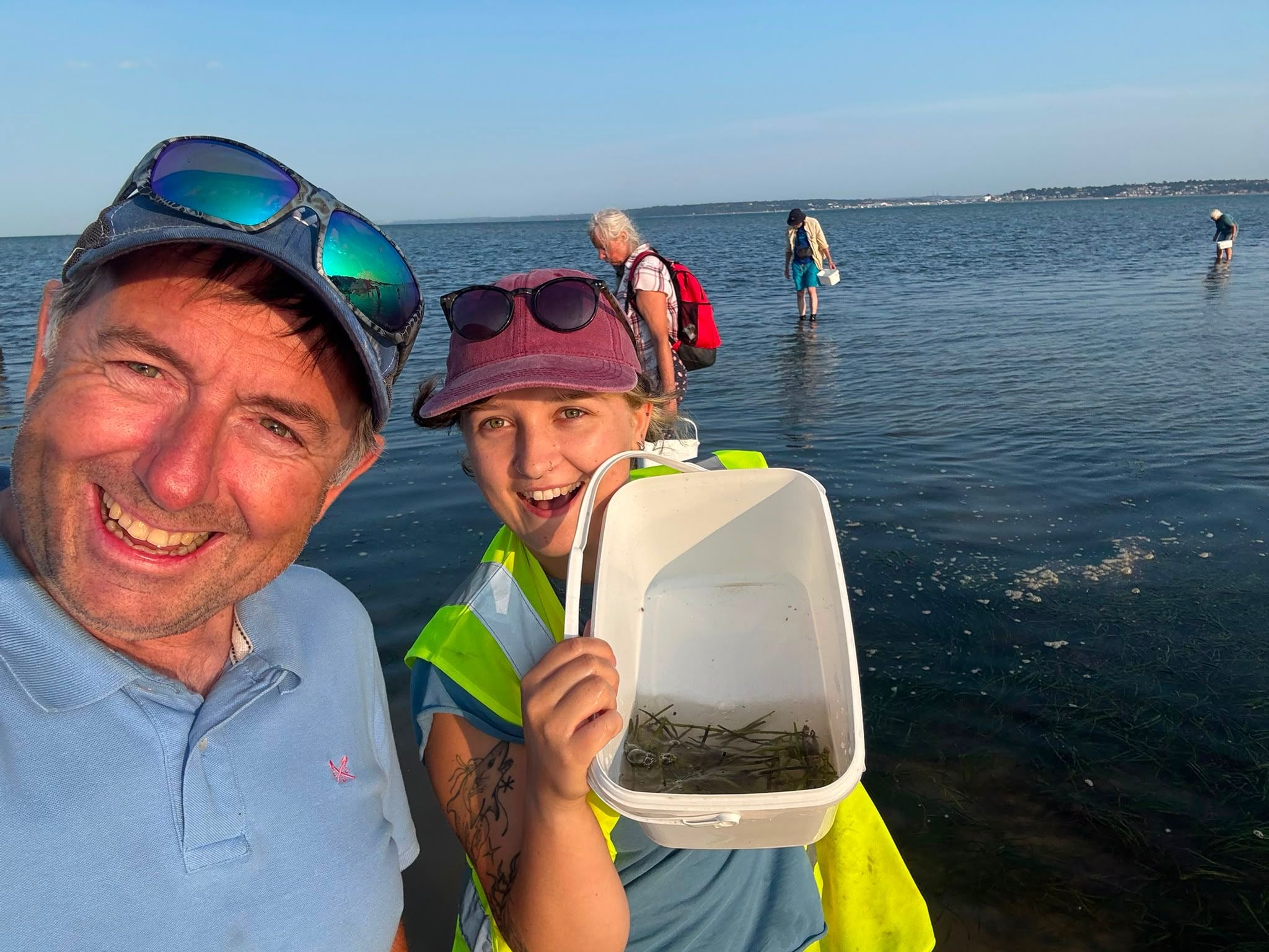 OVER 100,000 SEAGRASS SEEDS COLLECTED TO HELP RESTORE RARE SOLENT HABITAT
