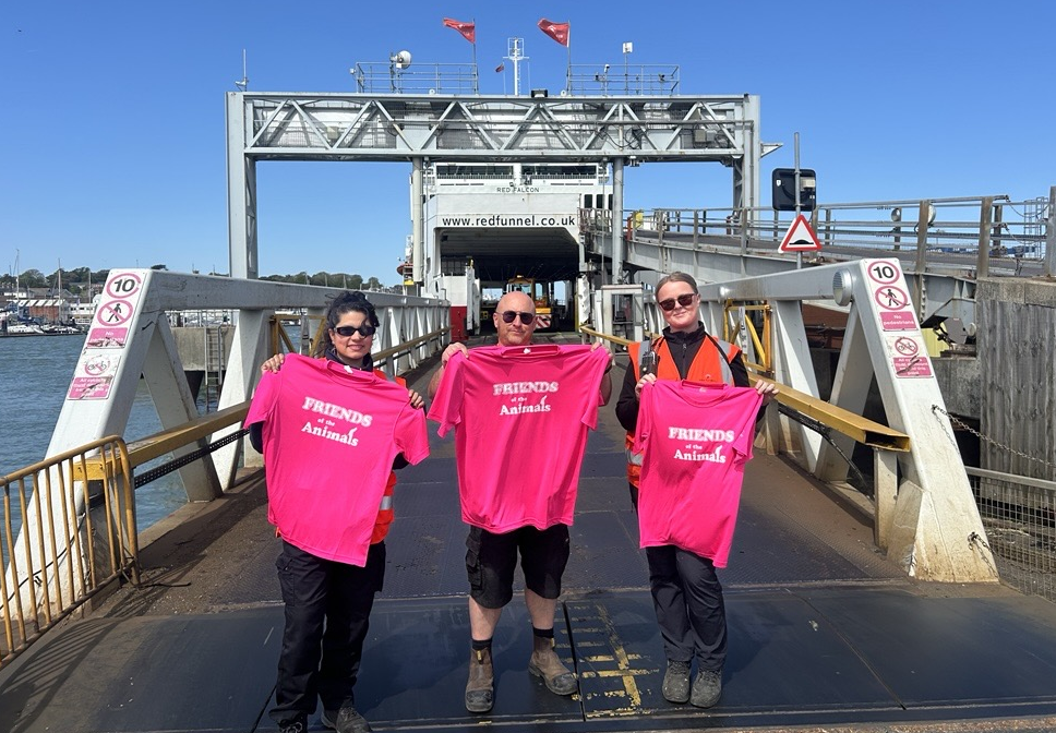 RED FUNNEL RAISES £10,000 FOR FRIENDS OF THE ANIMALS IN FIRST 6 MONTHS OF PARTNERSHIP