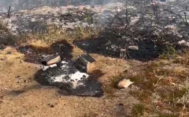 VIDEO: SUSPECTED CAUSE OF DEVASTATING WILDFIRE THAT RAVAGED HEADON WARREN REVEALED