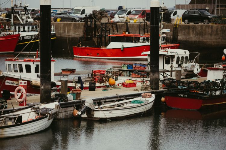 WHAT HAPPENS TO A FISHING HARBOUR WHEN THE TOURIST SEASON ENDS