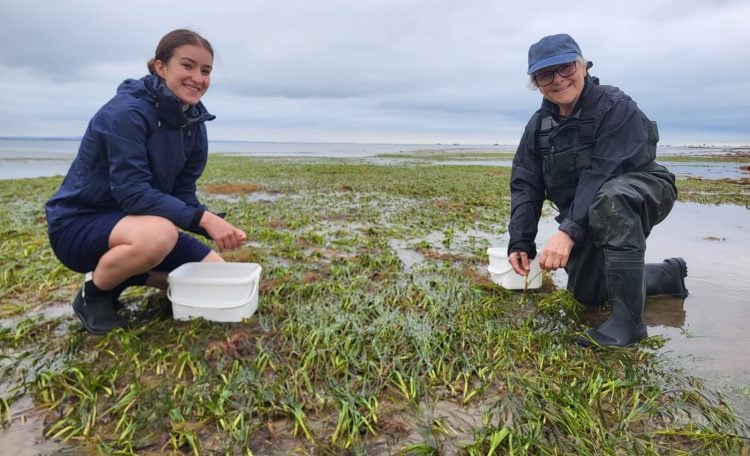 WILDLIFE TRUST CALLS FOR VOLUNTEERS TO HELP PROTECT ISLE OF WIGHT’S NATURE THIS SUMMER