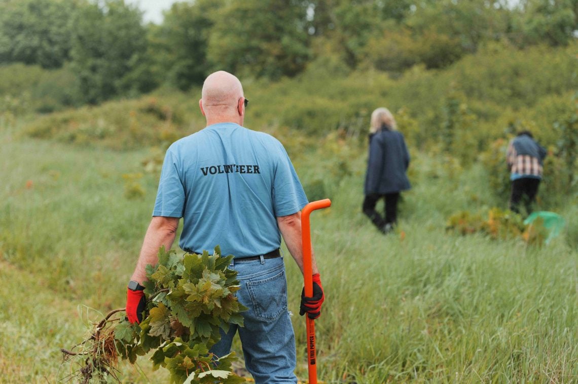 wildlife-trust-calls-for-volunteers-to-help-protect-isle-of-wight-s