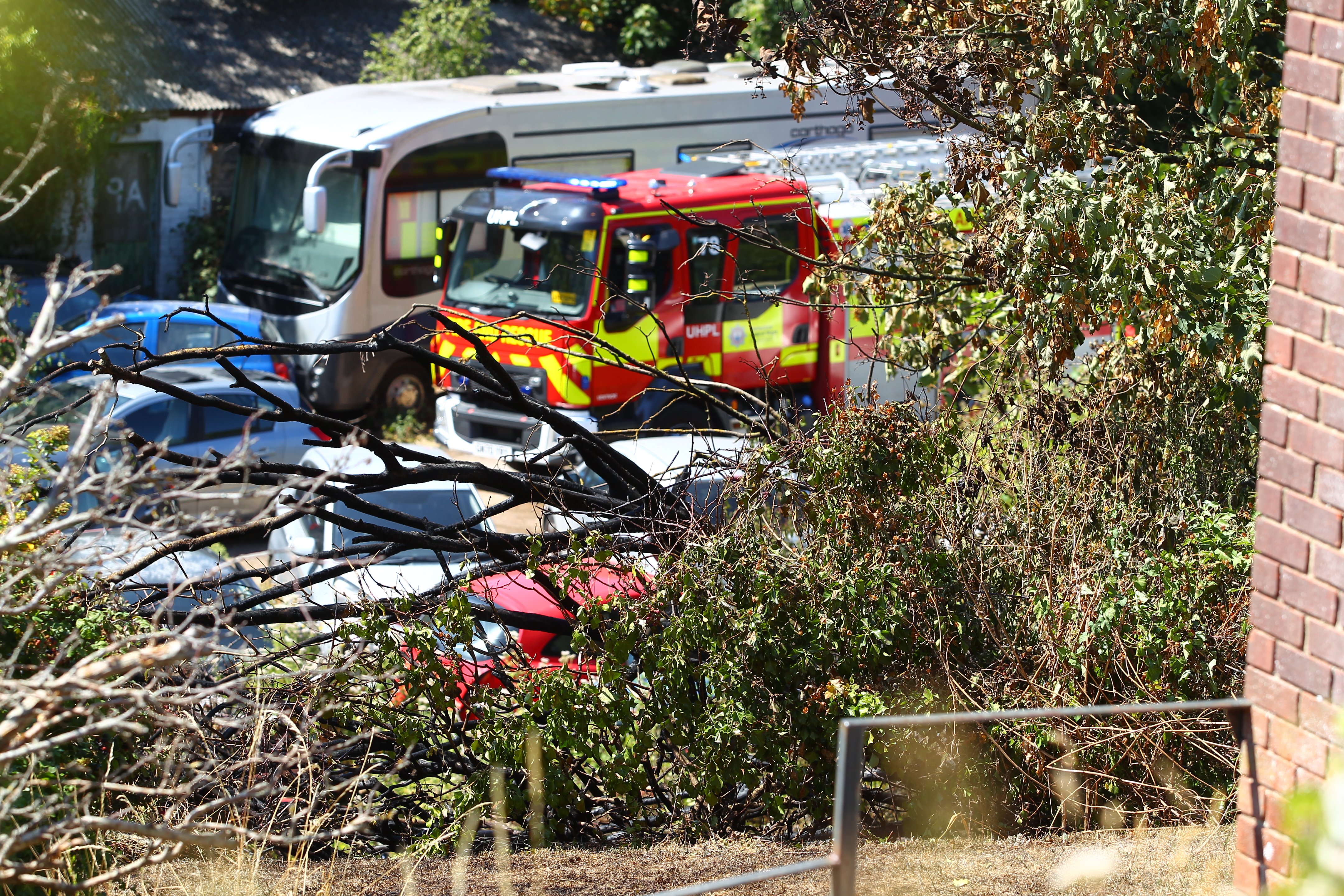 UNDERGROWTH BLAZE IN VENTNOR QUICKLY DOUSED THANKS TO RAPID ACTIONS OF LOCALS