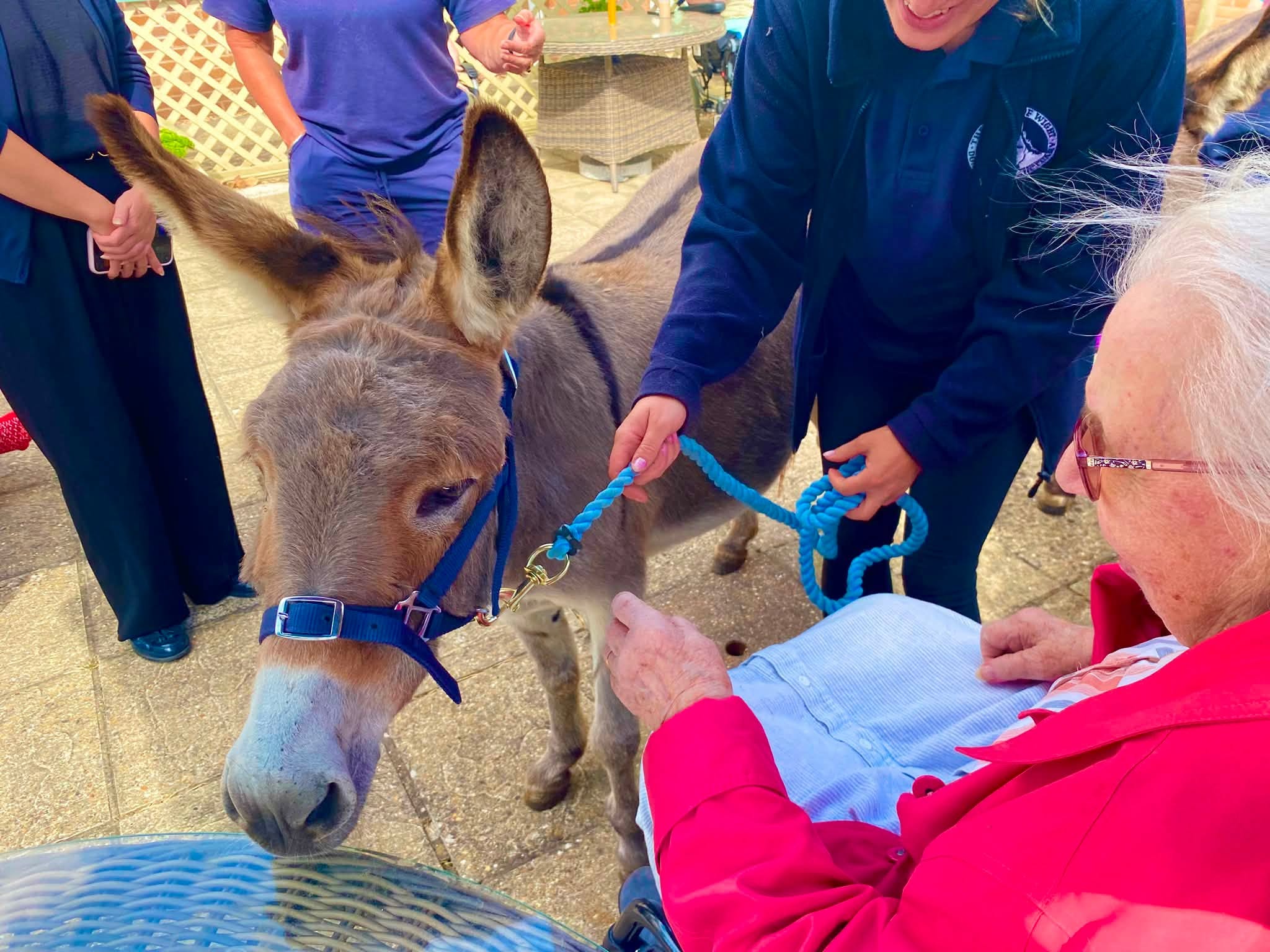 DONKEY DUO DAPHNE AND GERALDINE BRING SMILES TO ORCHARD HOUSE