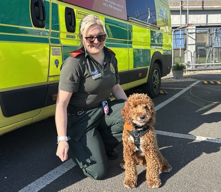 FROM STRAY PUPPY TO CARE DOG – JAFFA JOINS ISLE OF WIGHT AMBULANCE TEAM