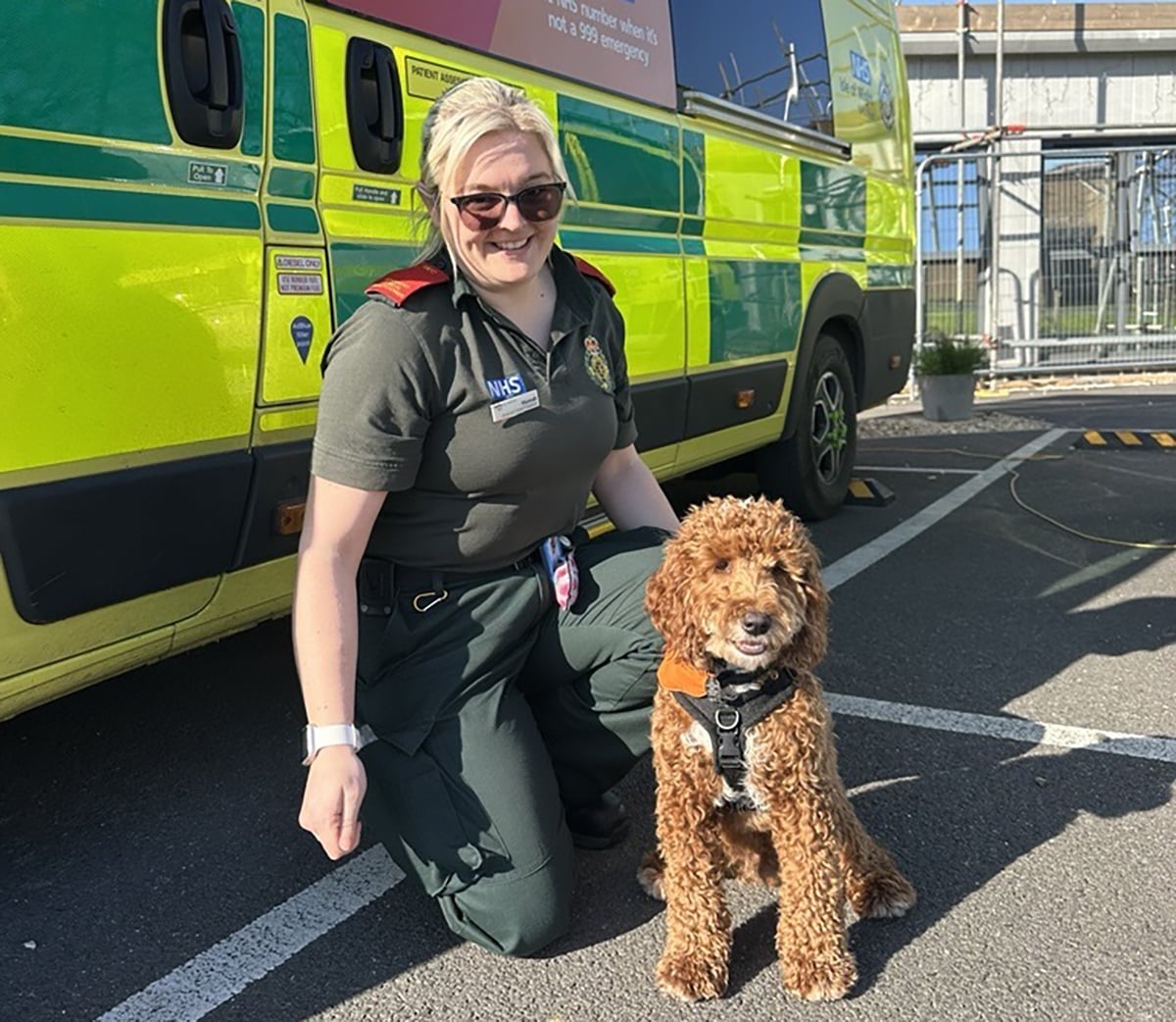 FROM STRAY PUPPY TO CARE DOG – JAFFA JOINS ISLE OF WIGHT AMBULANCE TEAM
