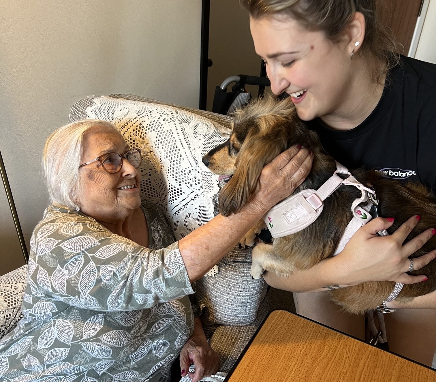 PAWS FOR SMILES AS DOGS VISIT COWES CARE HOME FOR NATIONAL DOG DAY