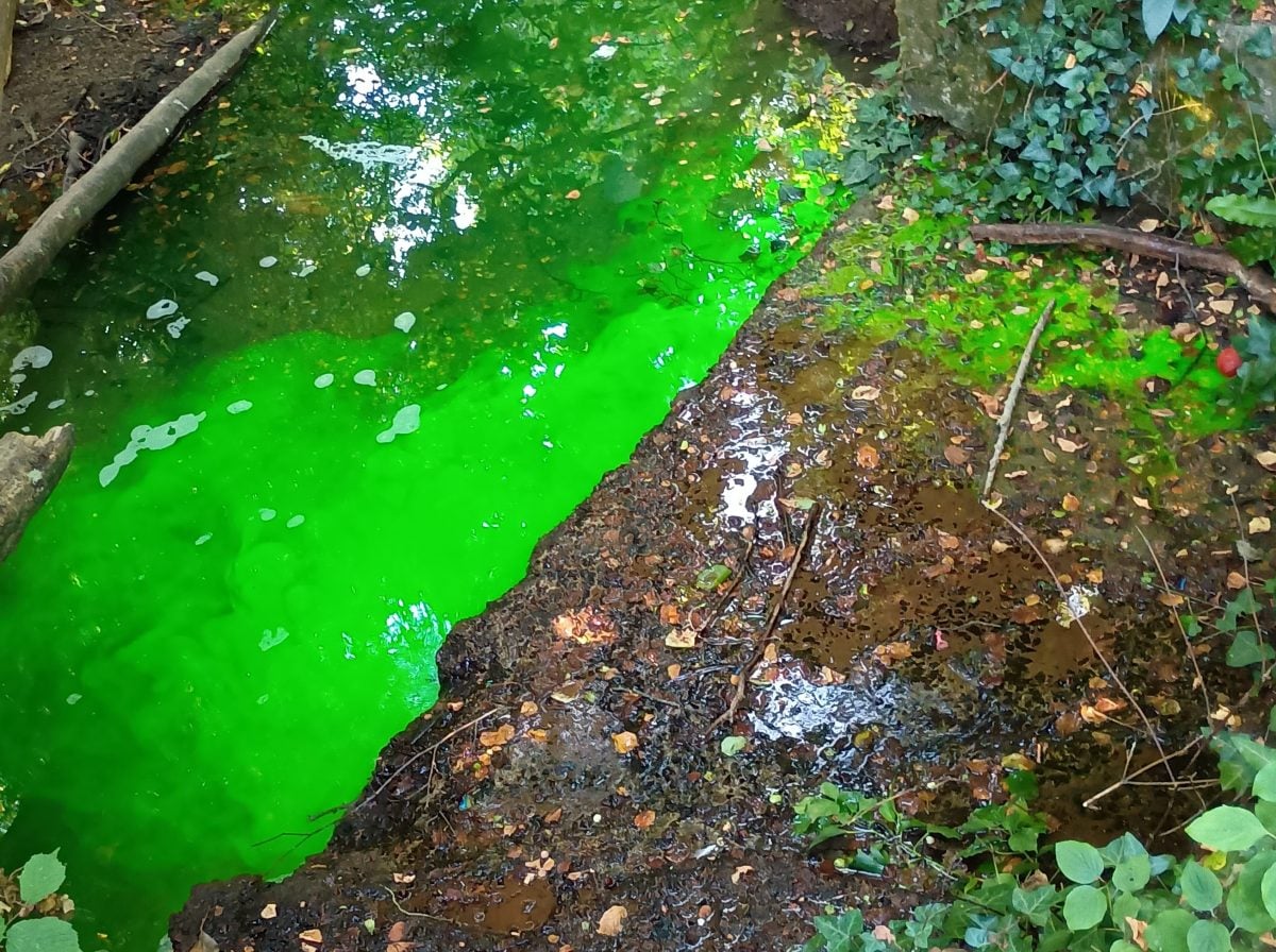 LUMINOUS GREEN WATER IN NEWPORT SPARKS ENVIRONMENT AGENCY INVESTIGATION