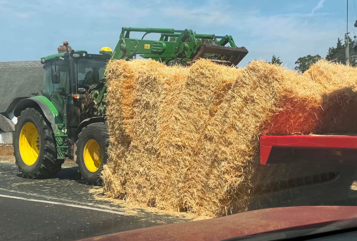 TRACTOR SPILLS LOAD OF HAY ON DOWNS ROAD CAUSING TRAFFIC DELAYS